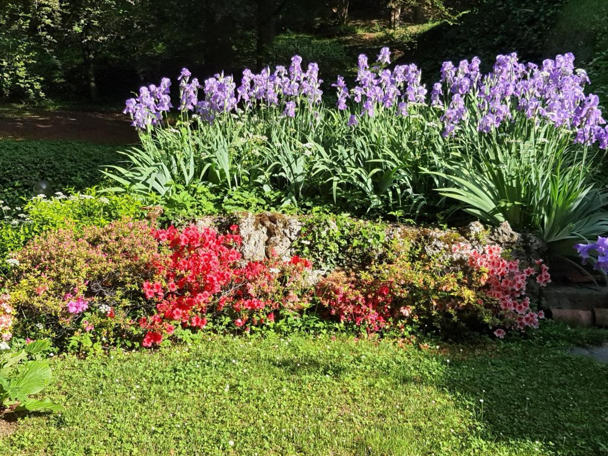 B&B Villa Sant'Anna Bergamo Exterior foto